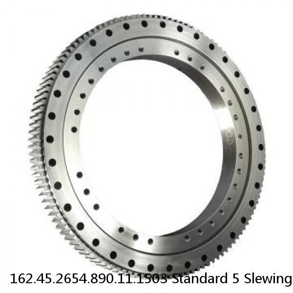 162.45.2654.890.11.1503 Standard 5 Slewing Ring Bearings