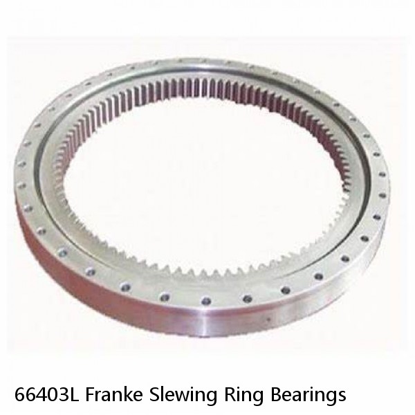 66403L Franke Slewing Ring Bearings