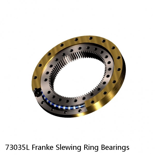 73035L Franke Slewing Ring Bearings