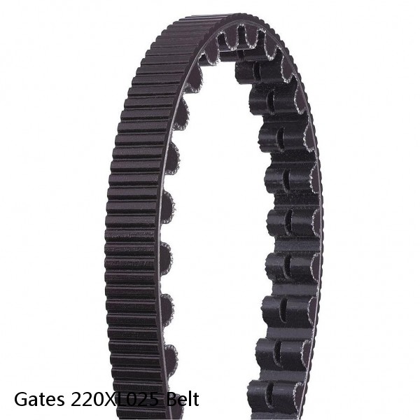 Gates 220XL025 Belt