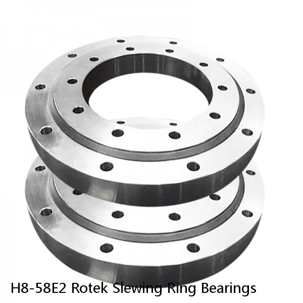 H8-58E2 Rotek Slewing Ring Bearings