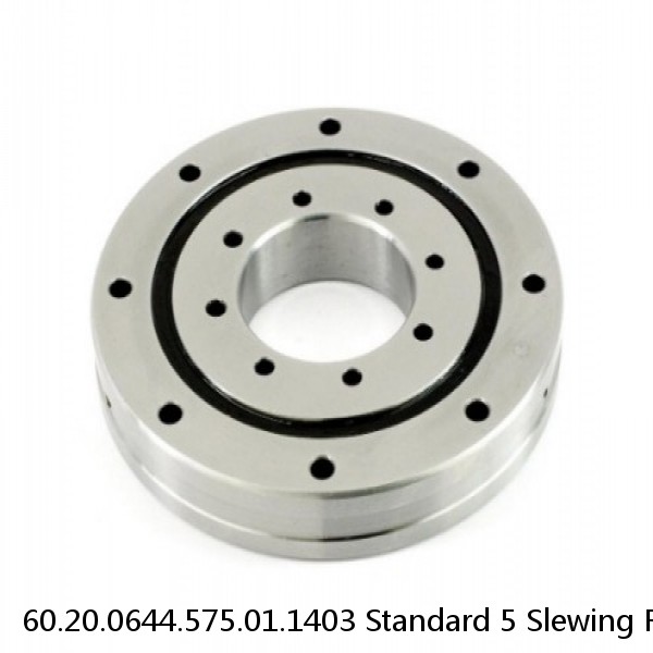 60.20.0644.575.01.1403 Standard 5 Slewing Ring Bearings