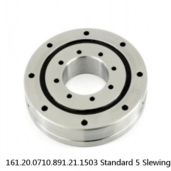 161.20.0710.891.21.1503 Standard 5 Slewing Ring Bearings