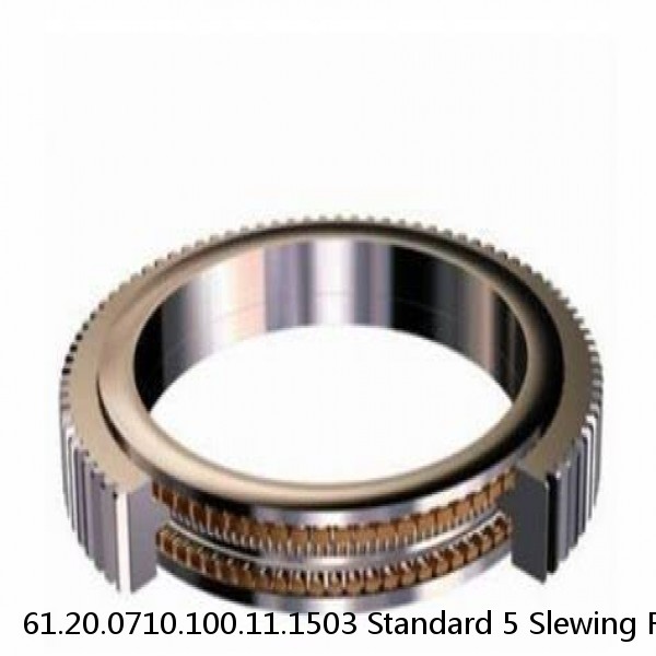 61.20.0710.100.11.1503 Standard 5 Slewing Ring Bearings