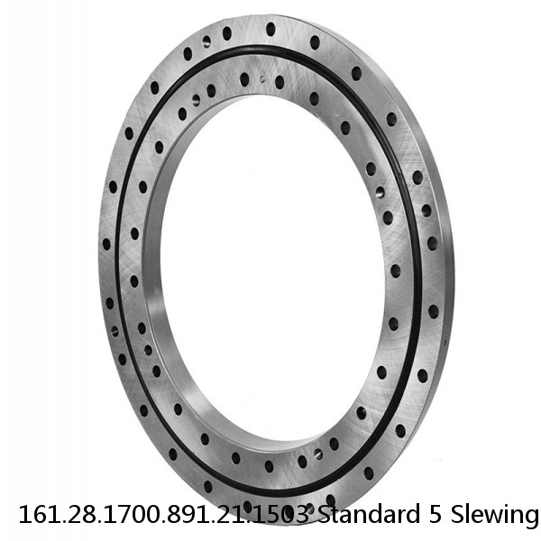 161.28.1700.891.21.1503 Standard 5 Slewing Ring Bearings