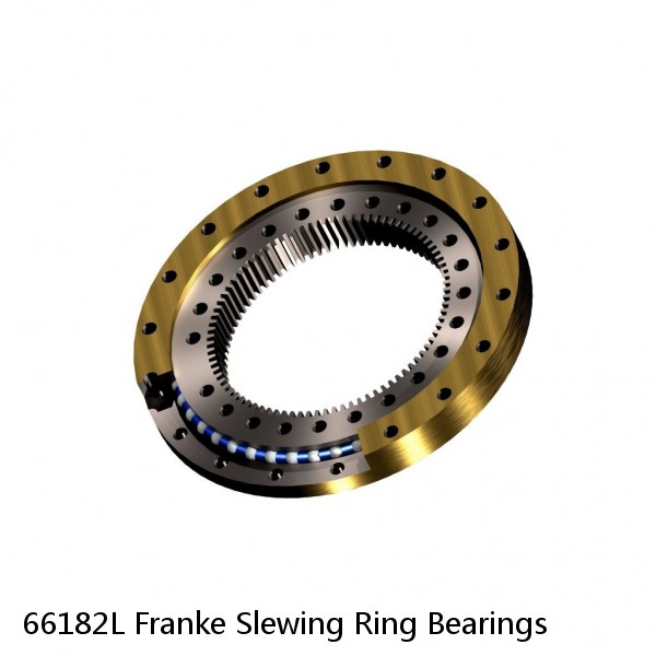 66182L Franke Slewing Ring Bearings