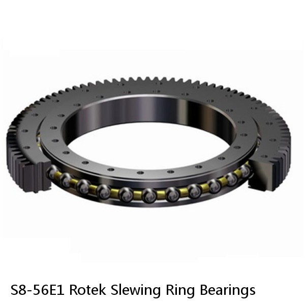 S8-56E1 Rotek Slewing Ring Bearings