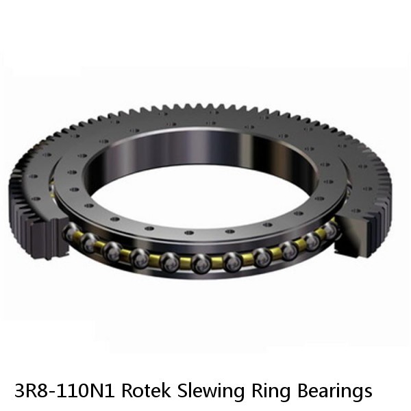 3R8-110N1 Rotek Slewing Ring Bearings