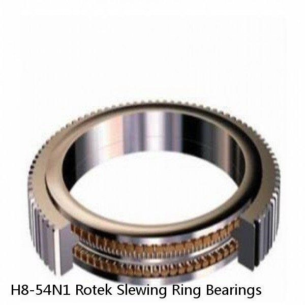 H8-54N1 Rotek Slewing Ring Bearings