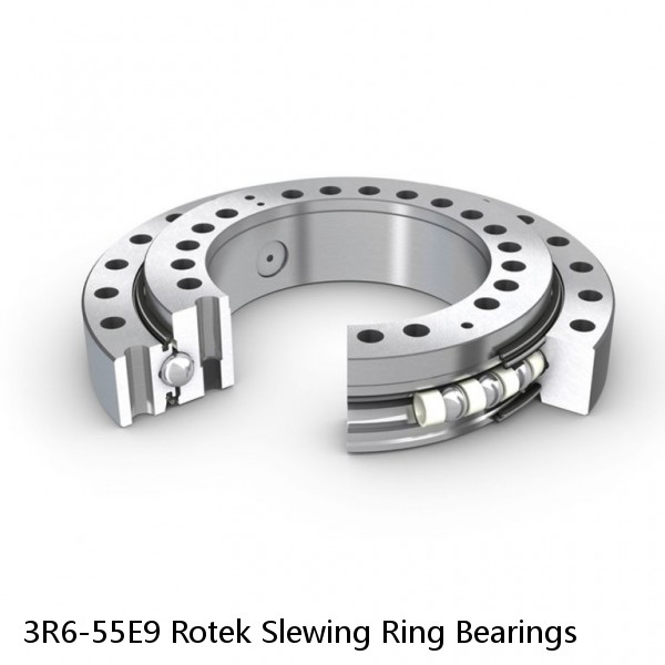 3R6-55E9 Rotek Slewing Ring Bearings