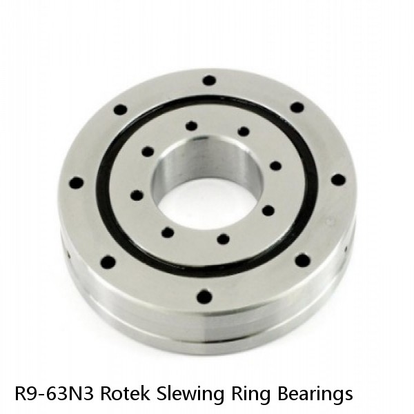 R9-63N3 Rotek Slewing Ring Bearings