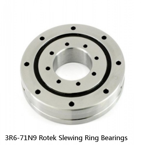 3R6-71N9 Rotek Slewing Ring Bearings