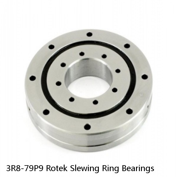 3R8-79P9 Rotek Slewing Ring Bearings