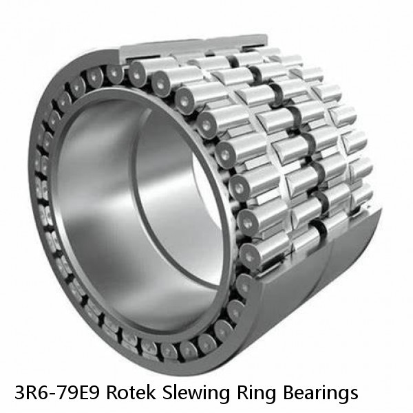 3R6-79E9 Rotek Slewing Ring Bearings