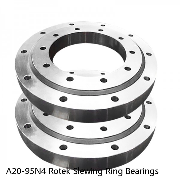 A20-95N4 Rotek Slewing Ring Bearings