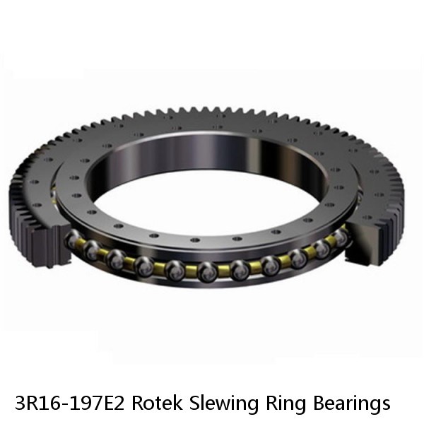 3R16-197E2 Rotek Slewing Ring Bearings