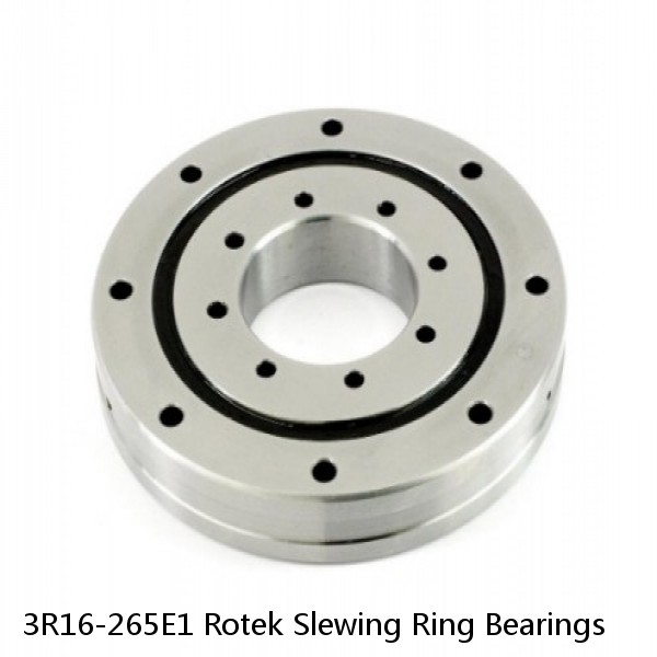 3R16-265E1 Rotek Slewing Ring Bearings