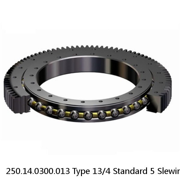 250.14.0300.013 Type 13/4 Standard 5 Slewing Ring Bearings