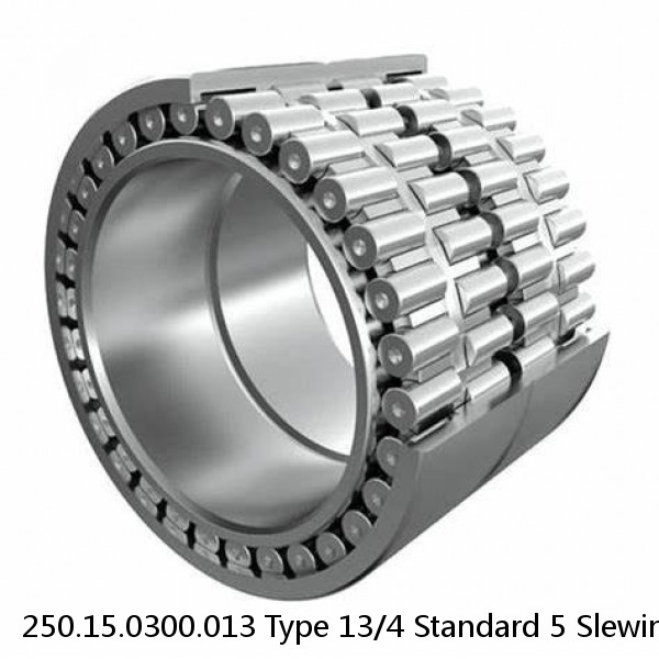 250.15.0300.013 Type 13/4 Standard 5 Slewing Ring Bearings