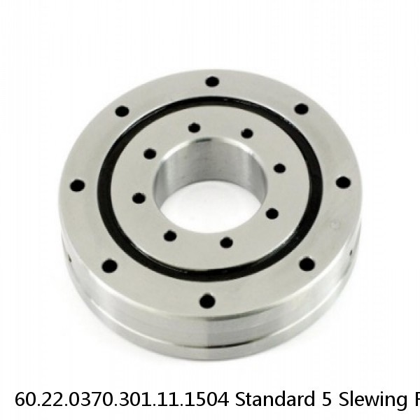 60.22.0370.301.11.1504 Standard 5 Slewing Ring Bearings