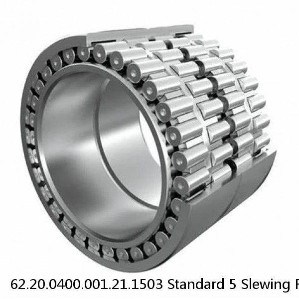 62.20.0400.001.21.1503 Standard 5 Slewing Ring Bearings