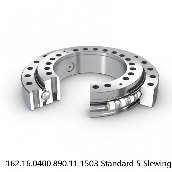 162.16.0400.890.11.1503 Standard 5 Slewing Ring Bearings