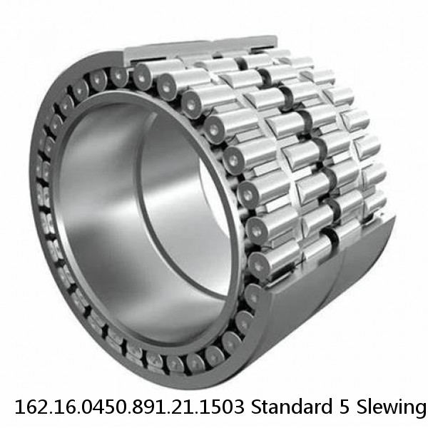 162.16.0450.891.21.1503 Standard 5 Slewing Ring Bearings