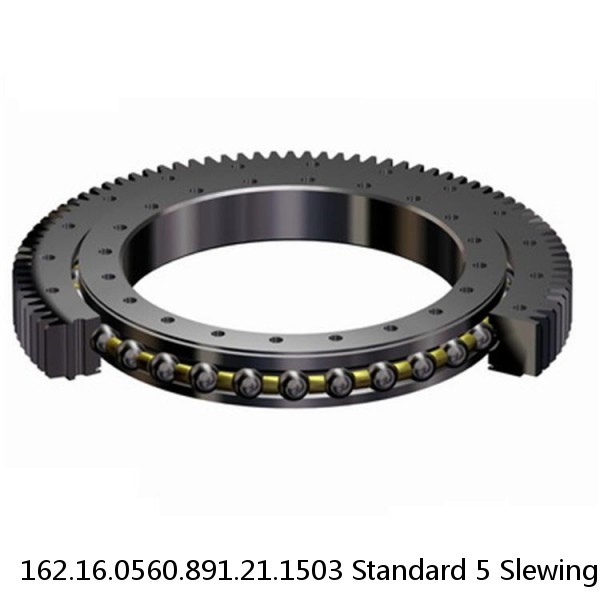 162.16.0560.891.21.1503 Standard 5 Slewing Ring Bearings