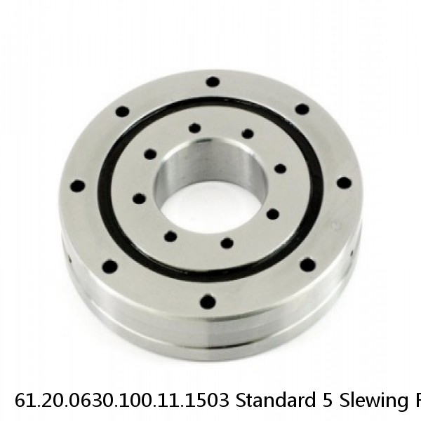 61.20.0630.100.11.1503 Standard 5 Slewing Ring Bearings