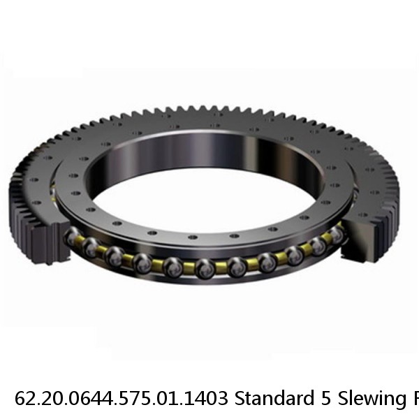 62.20.0644.575.01.1403 Standard 5 Slewing Ring Bearings