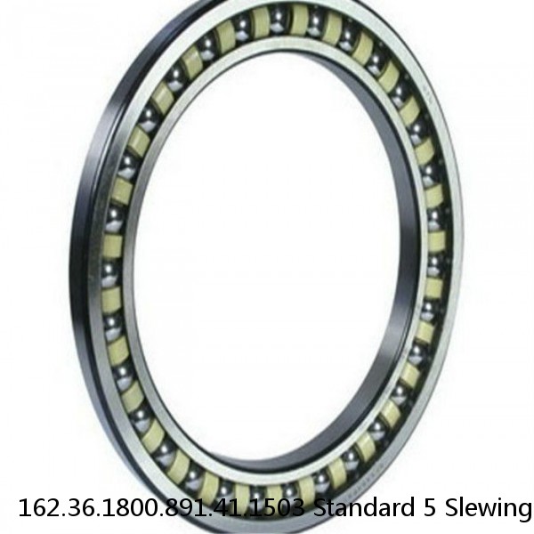 162.36.1800.891.41.1503 Standard 5 Slewing Ring Bearings