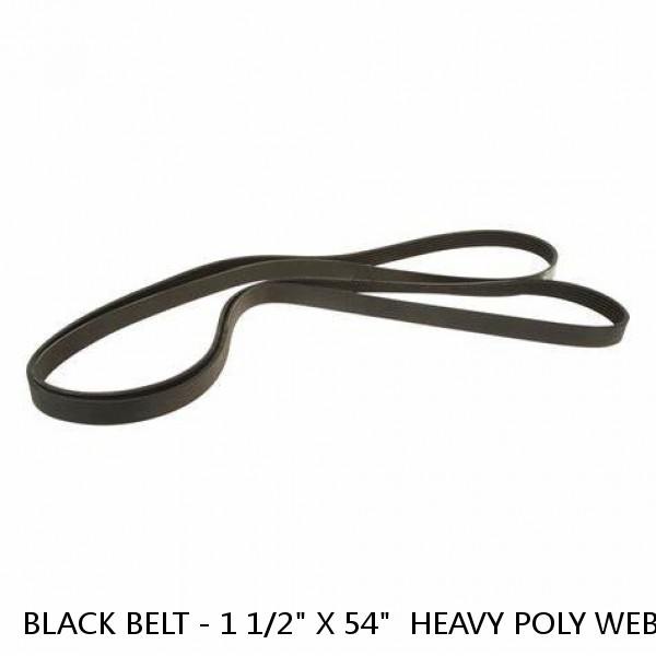 BLACK BELT - 1 1/2" X 54"  HEAVY POLY WEB with SIDE RELEASE BUCKLE